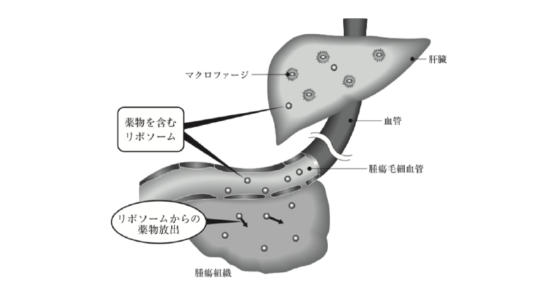 解説画像